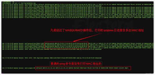 零入门kubernetes网络实战 31 基于bridge veth pair masquerade技术实现内网可以访问外网
