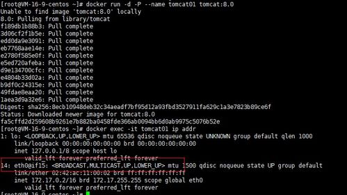 docker网络详解与实战